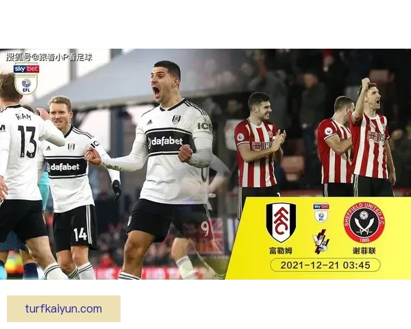 米特罗维奇在富勒姆时期持续提升,成为球队进攻的核心力量 米特罗维奇在富勒姆时期持续提升,成为球队进攻的核心力量